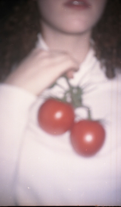 Ecal - © D'heygere