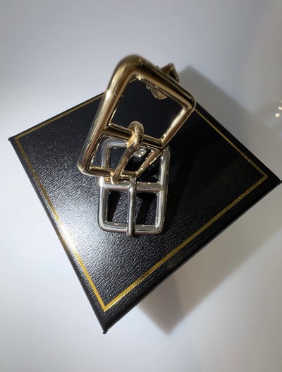 Buckle Earring - © D'heygere