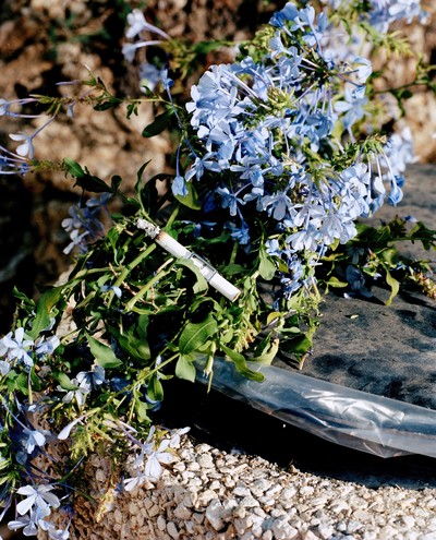 Canister Ring - © D'heygere