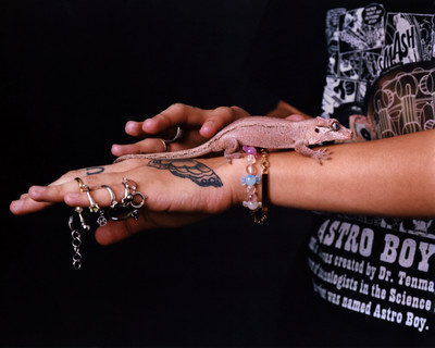 Clasp ID Bracelet - © D'heygere