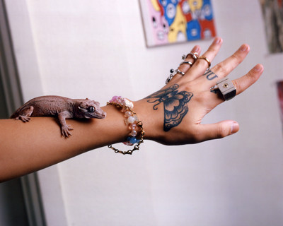 Clasp ID Bracelet - © D'heygere