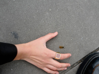 Match Striker Signet Ring - © D'heygere