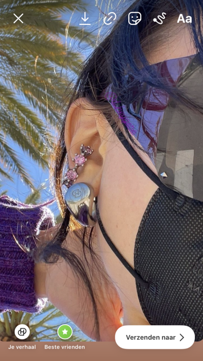 Signet Hoops XL - © D'heygere