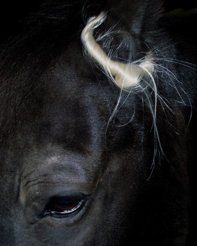 XL Hair Hoops - © D'heygere