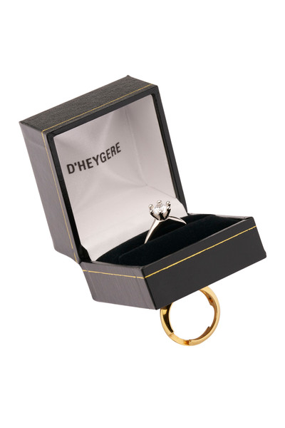 Ring Box Ring - © D'heygere